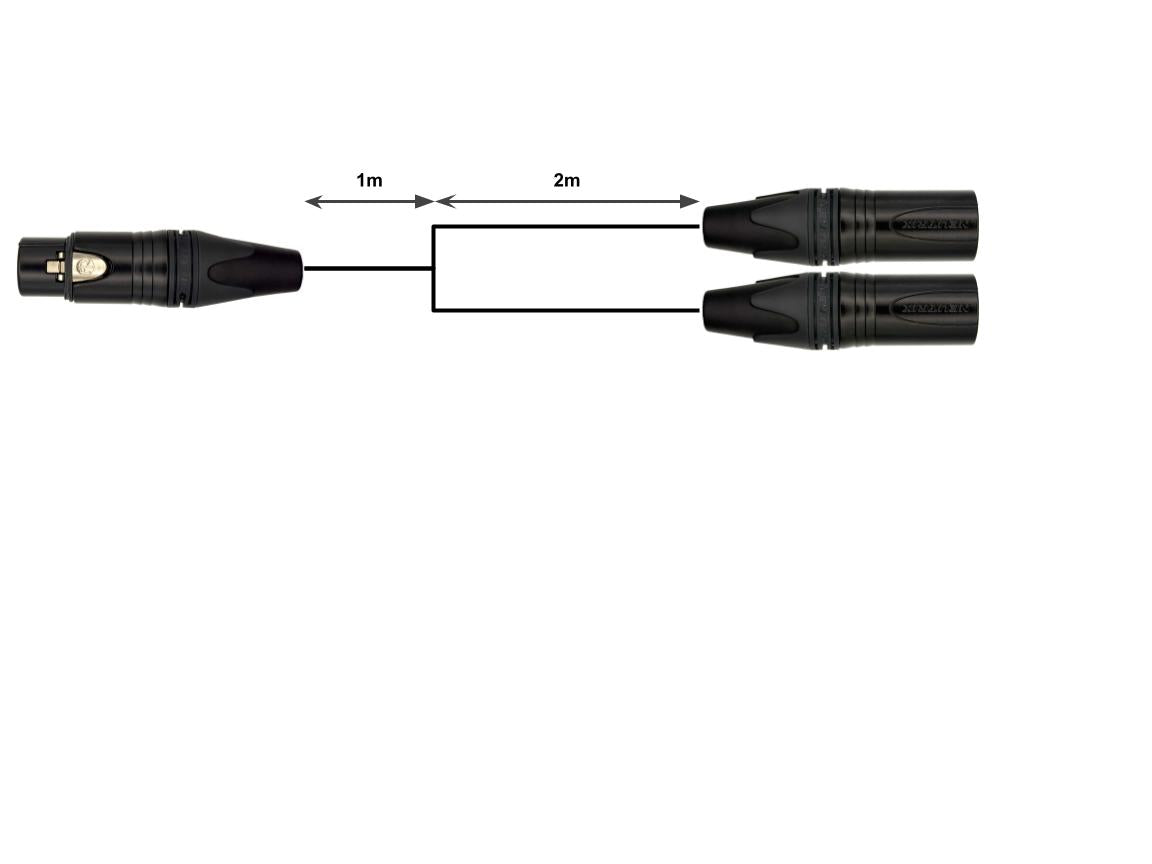 Custom: XLR (F) to 2x XLR (M) split